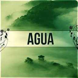Agua - Sonidos de la Naturaleza para Meditacion y Reiki, Musica para Yoga, Musica para Dormir, Pensamiento Positivo, Musica para Meditar e Musica de Relax - Academia de Música para el Alma
