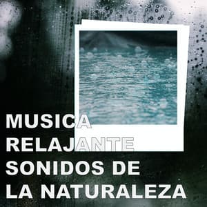 Musica Relajante Sonidos de la Naturaleza - Musica Relajante Sonidos de la Naturaleza
