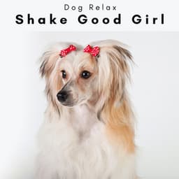 2 0 2 3 Shake Good Girl - Dog Relax