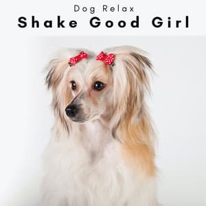 2 0 2 3 Shake Good Girl - Dog Relax