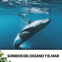 Sonidos del Oceano y el Mar: Ballenatos - Dog Relaxation