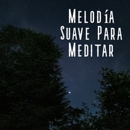 Melodía Suave para Meditar - Música De Relajación Para Dormir Profundamente