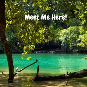 Meet Me Here! - Natural Samples