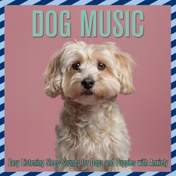 Dog Music: Easy Listening Sleep Sounds for Dogs and Puppies with Anxiety - Relaxmydog