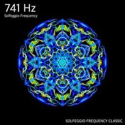 741Hz Remove Toxin and Negative Energy - SOLFEGGIO FREQUENCY CLASSIC