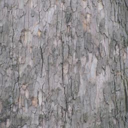 Book of Changes, Vol. 6 - Yin And Yang