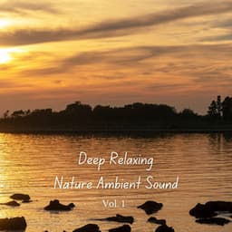 Deep Relaxing Nature Ambient Sound Vol. 1 - Music for Sleep
