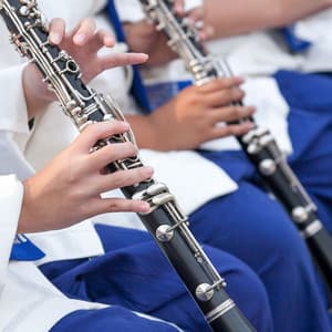 Dreamy Orchestra: Relaxation Symphonies - Charles Anderson