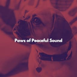 Paws of Peaceful Sound - Jazz for Work Beats