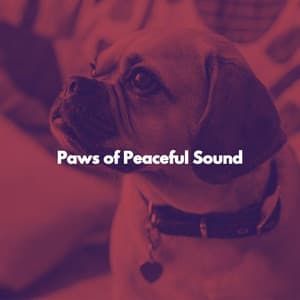 Paws of Peaceful Sound - Jazz for Work Beats