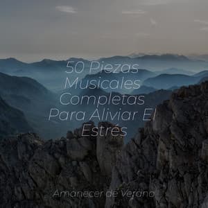 50 Piezas Musicales Completas Para Aliviar El Estrés - Rockabye Lullaby