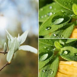 Echoes of Rainy May Days - The Cocktail Lounge Players