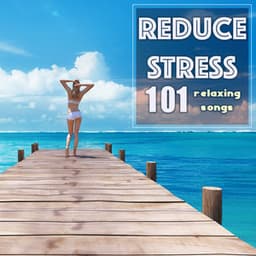Reduce Stress - 101 Relaxation Songs, Deep Sleep Music to Improve Your Mood & Relax Level - No Stress Ensemble