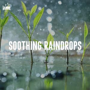 Soothing Raindrops - Rain Sounds Lab