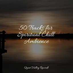 50 Tracks for Spiritual Chill Ambience - Sol y Lluvia