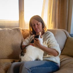 Tonos Serenos Para Gatos En Tiempo Tranquilo - Encontrar frecuencia