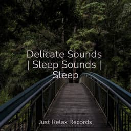 Delicate Sounds | Sleep Sounds | Sleep - Musica Romantica Ensemble