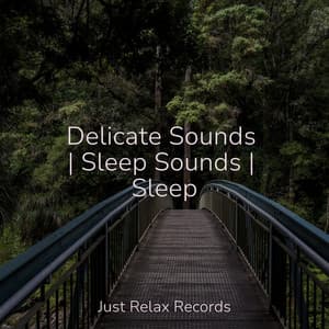 Delicate Sounds | Sleep Sounds | Sleep - Musica Romantica Ensemble