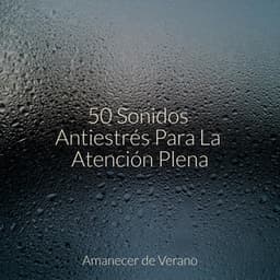 50 Sonidos Antiestrés Para La Atención Plena - Naturaleza Sonidos