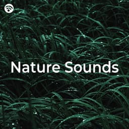 Nature Sounds - Musica Para Dormir y Sonidos de la Naturaleza