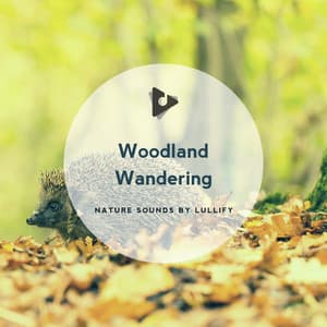 Woodland Wandering - Nature Sounds by Lullify