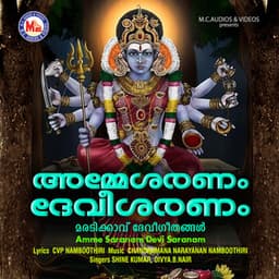 Amme Saranam Devi Saranam - Shine Kumar