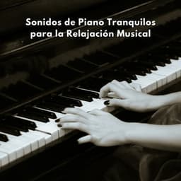 Sonidos De Piano Tranquilos Para La Relajación Musical - Novela para piano