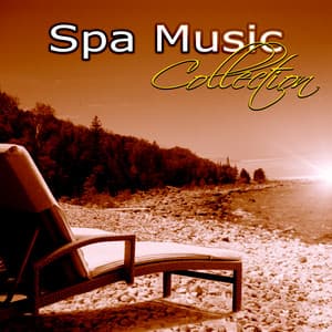 Drifted Senses Collection - Cezary Askenase