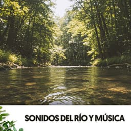 Sonidos del río y música: Melodias del flow - Dog Relaxation