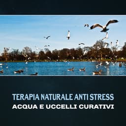 Terapia naturale anti stress - Acqua e uccelli curativi, Musica di rilassamento, Suoni della natura per il sonno, Collezione benessere - Meditazione asiatica club
