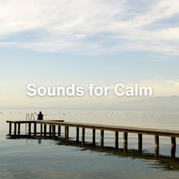 Sounds for Calm - Sleep Baby Sleep