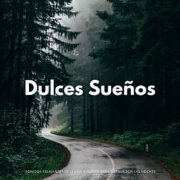 Dulces Sueños: Sonidos Relajantes De Lluvia Y Viento Para Dormir Por Las Noches - Lluvia para Dormir ASMR