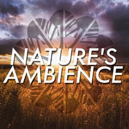 Nature's Ambience - Ambiance nature