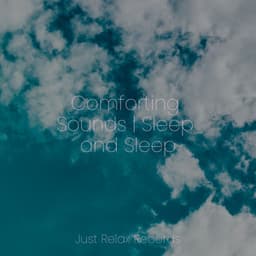 Comforting Sounds | Sleep and Sleep - Sleepy Night Music
