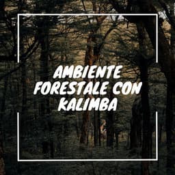 Ambiente forestale con kalimba - Musica Curativa Club