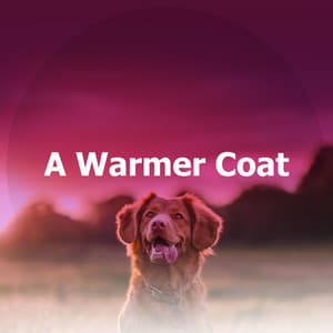 A Warmer Coat - Puppy Music