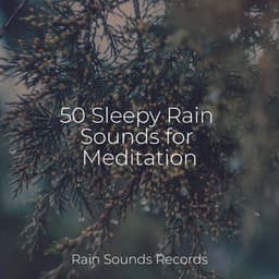50 Sleepy Rain Sounds for Meditation - Sleepy Night Music