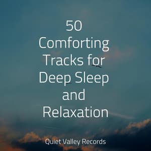 50 Comforting Tracks for Deep Sleep and Relaxation - Ambient Music Therpy