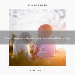 Tension Loosening Woods Tunes For Uneasy, Beloved Dogs - Pets Total Relax