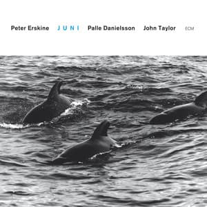 Juni - Peter Erskine