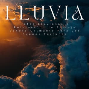 Patas Lluviosas Y Relajación: Un Paisaje Sonoro Calmante Para Los Sueños Perrunos - Sonidos De Lluvia y Viento