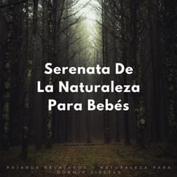 Serenata De La Naturaleza Para Bebés: Pájaros Relajados Y Naturaleza Para Dormir Siestas - Pájaros de la noche