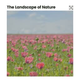 The Landscape of Nature - Sounds of Nature Noise