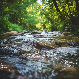 Técnicas De Meditación Profunda Del Agua Binaural - Meditación Con Ruido Rosado