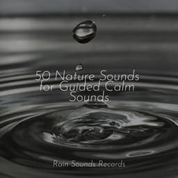 50 Nature Sounds for Guided Calm Sounds - Rain Sounds & White Noise