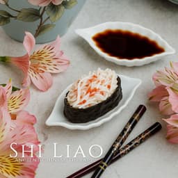 Shi Liao Ancient Chinese Therapy - Mindfulness Meditation Music Spa Maestro