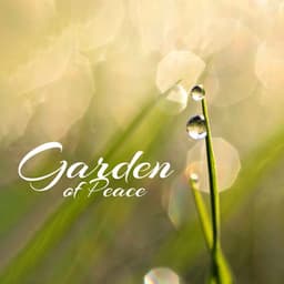 Garden of Peace: Immersion in the Magical Sounds of Nature, Relaxation by the Flowing Water - Garden Music Academy