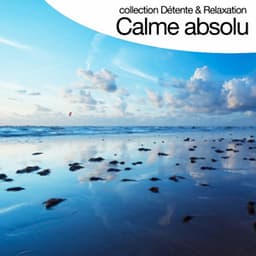 Calme Absolu - Relaxation Big Band