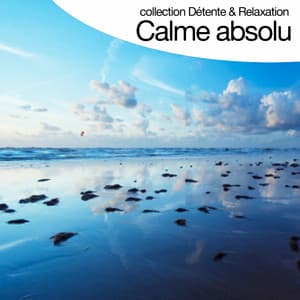 Calme Absolu - Relaxation Big Band