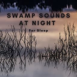 Swamp Sounds at Night for Sleep - Natural Sounds Selections
